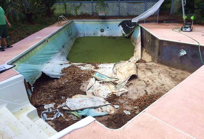 A Dirty Pool With Mold Strains and Green Water