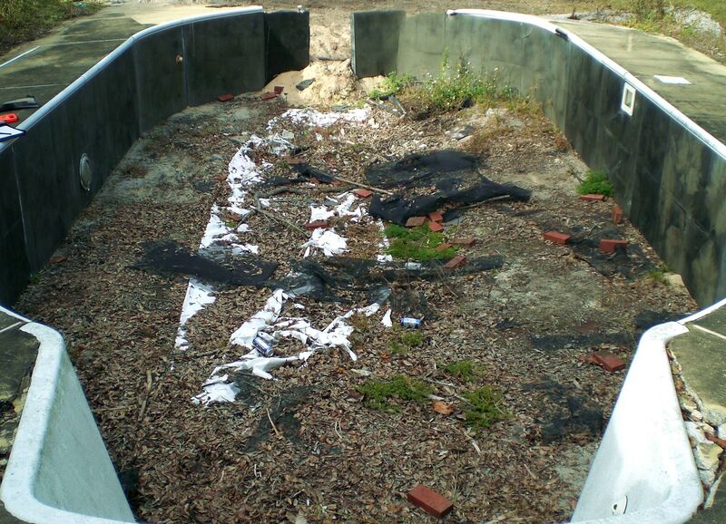An Above the Ground Pool With Dried Leaves and Mold