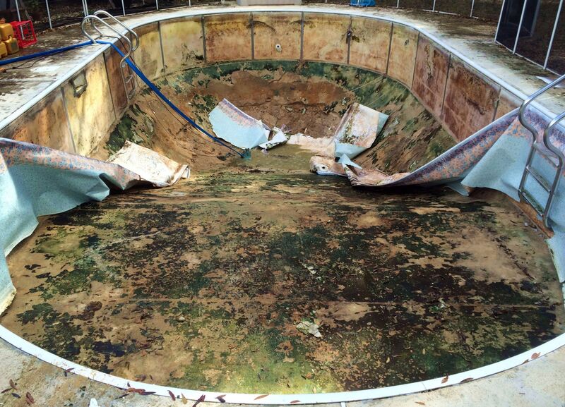 A Round Ended Pool With Mold and Algae