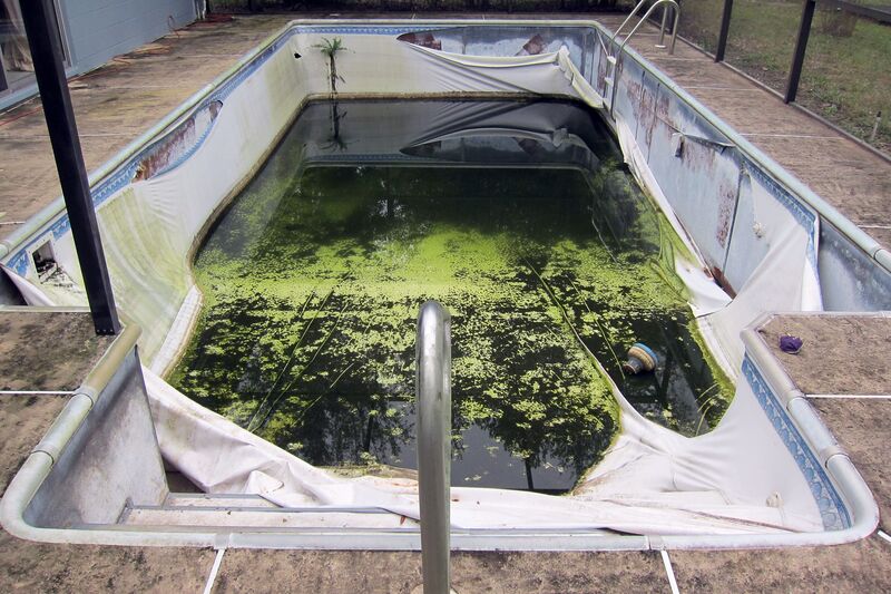 A Long Rectangle Pool With Algae Water on Cover